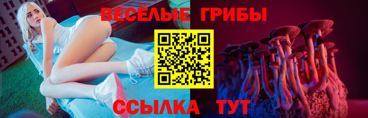 Псилоцибиновые грибы MAGIC MUSHROOMS  Вход с VPN  Новоалександровск 