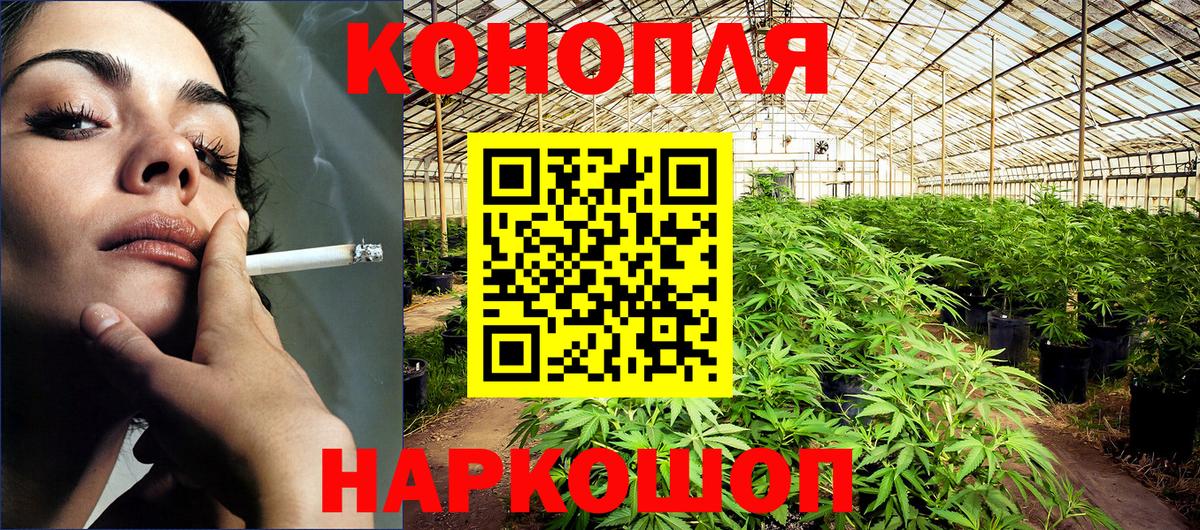Канабис SATIVA & INDICA  Шишки марихуана AK-47  Конопля THC 21%  Новоалександровск  Вход с VPN 